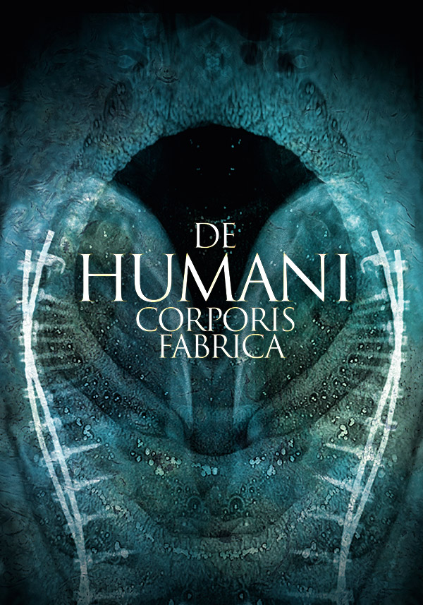 De Humani Corporis Fabrica - Poster
